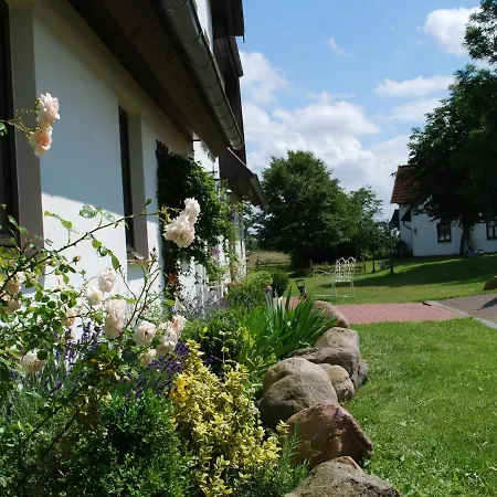 Appartement In Dargun With Swimming Pool *